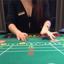 markashack app dashboard showing Togel, live tables, and sportsbook